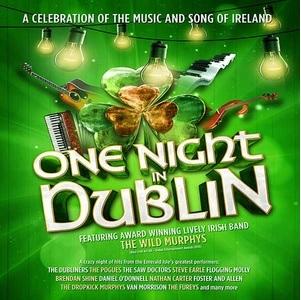 ONE NIGHT IN DUBLIN